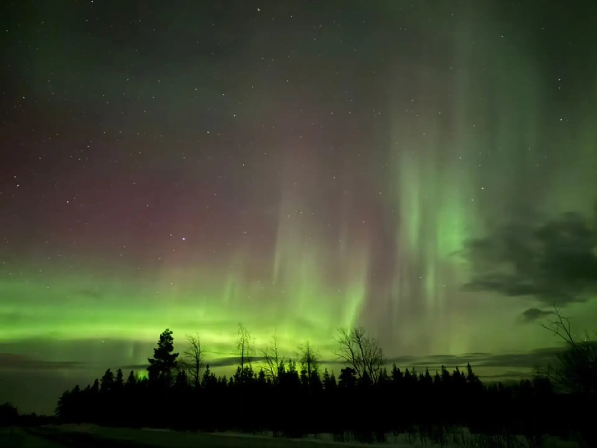 Authentic Experiences aurora guide team